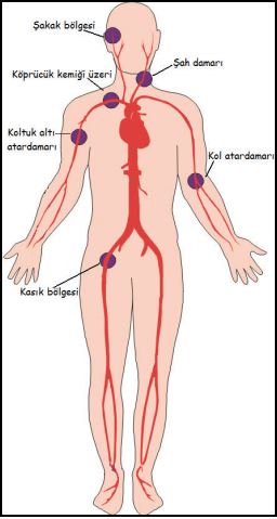 hsgm basi noktalari